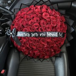 Quieres Ser Mi Novia Rosas Rojas Girlfriend Proposal 