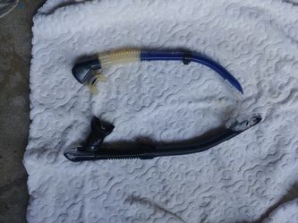 Snorkel Mares And Tusa