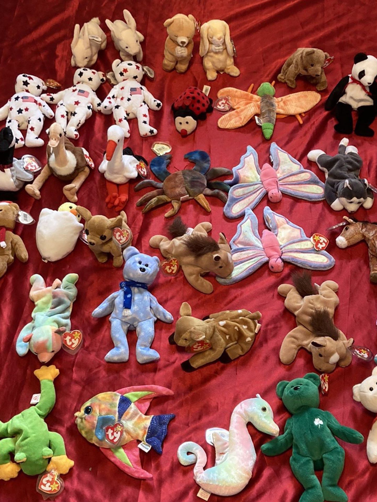 Early TY Beanie Baby Over 200, Some Rare