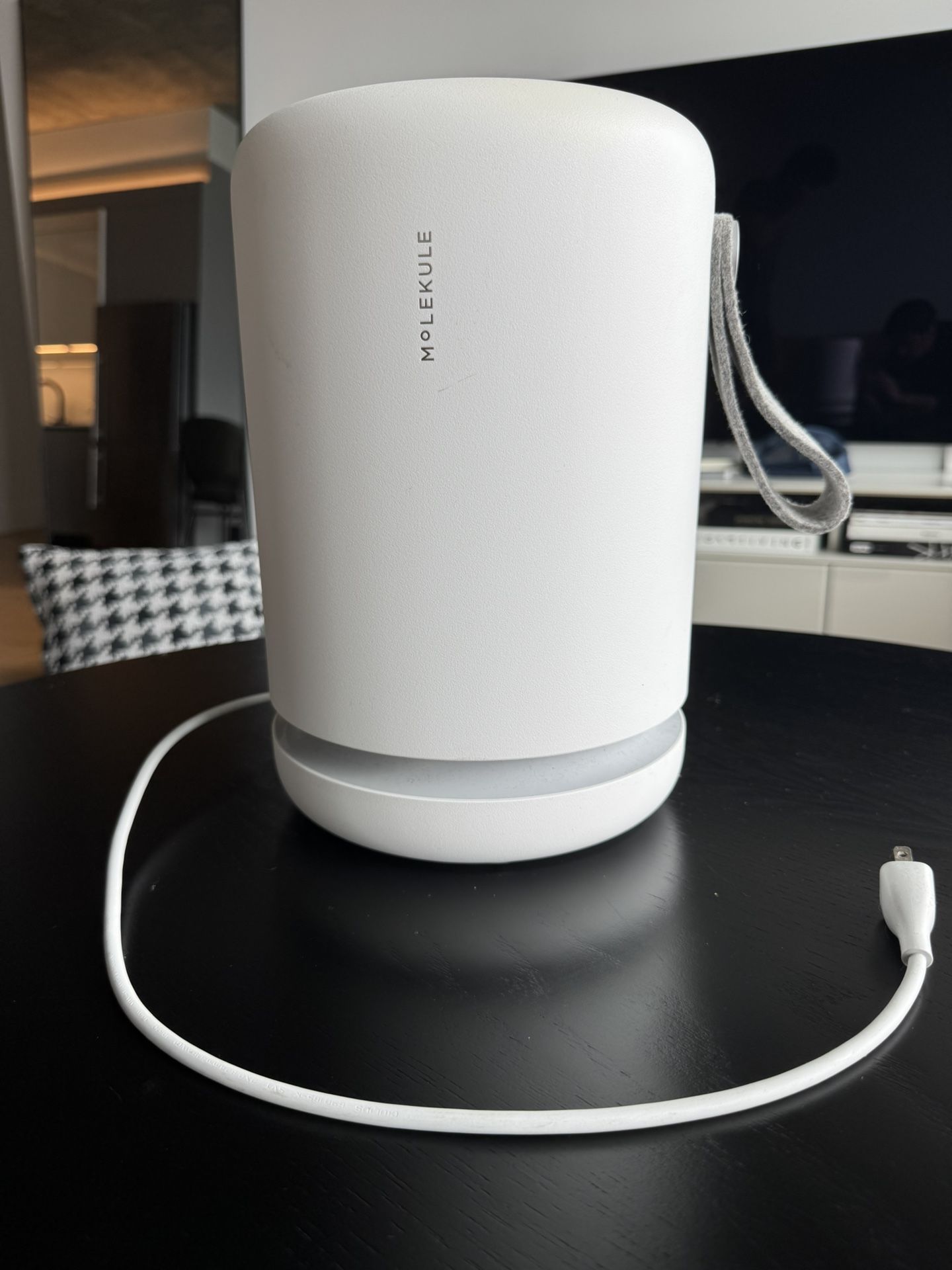 Molekule Air Mini