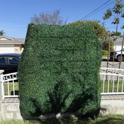 Green Hedge Wall