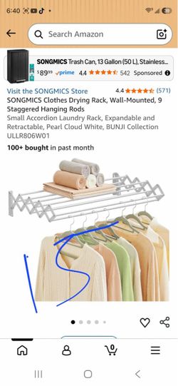 Wall-Mounted Clothes Drying Rack