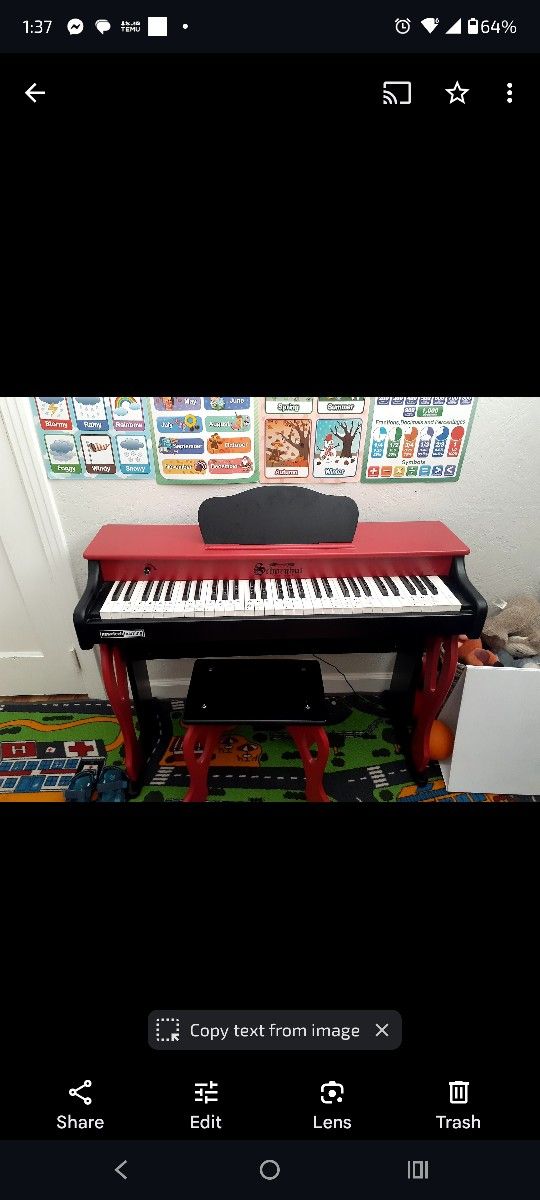 Schoenhut My 1st Piano