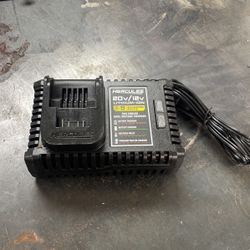 Hercules 20 V Charger