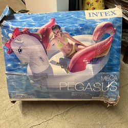 Intel Mega Pegasus Float