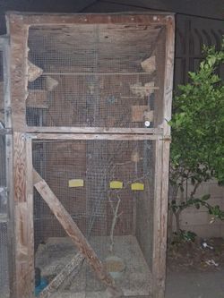 Bird Cages