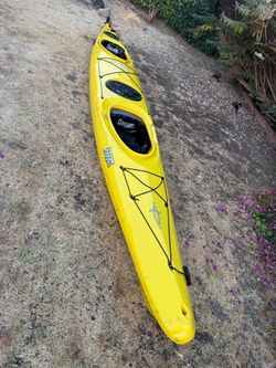 Kayak