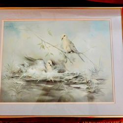 Dove In Waiting  SIGNED Print 