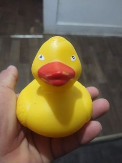Rubber ducky