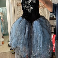 Princess Costumes I Have Two both for 40 or 20 each