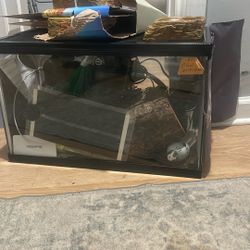 10 Gallon Tank 