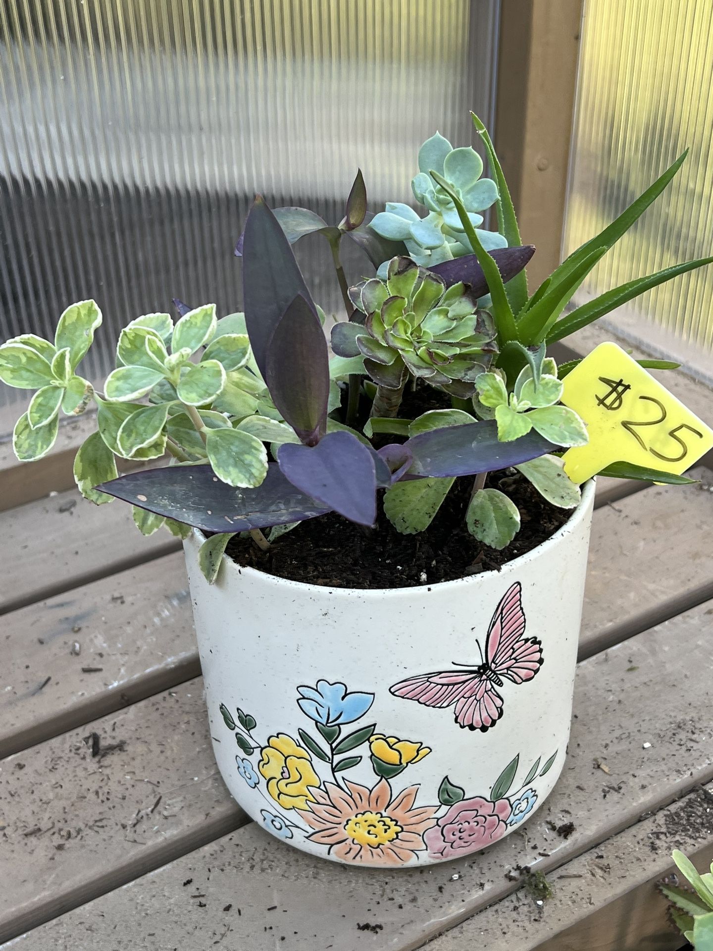 Succulent Planter