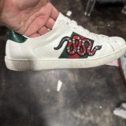 Gucci  Snake  Shoes 