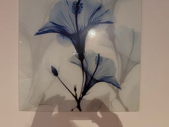 Radiography glass frames