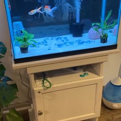 20 Gallon Fish Tank + Aquarium Stand 