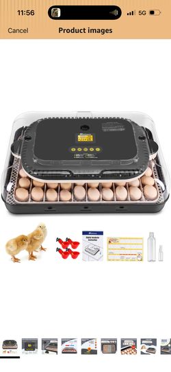Egg Incubator