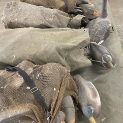 Duck Decoys With Weights