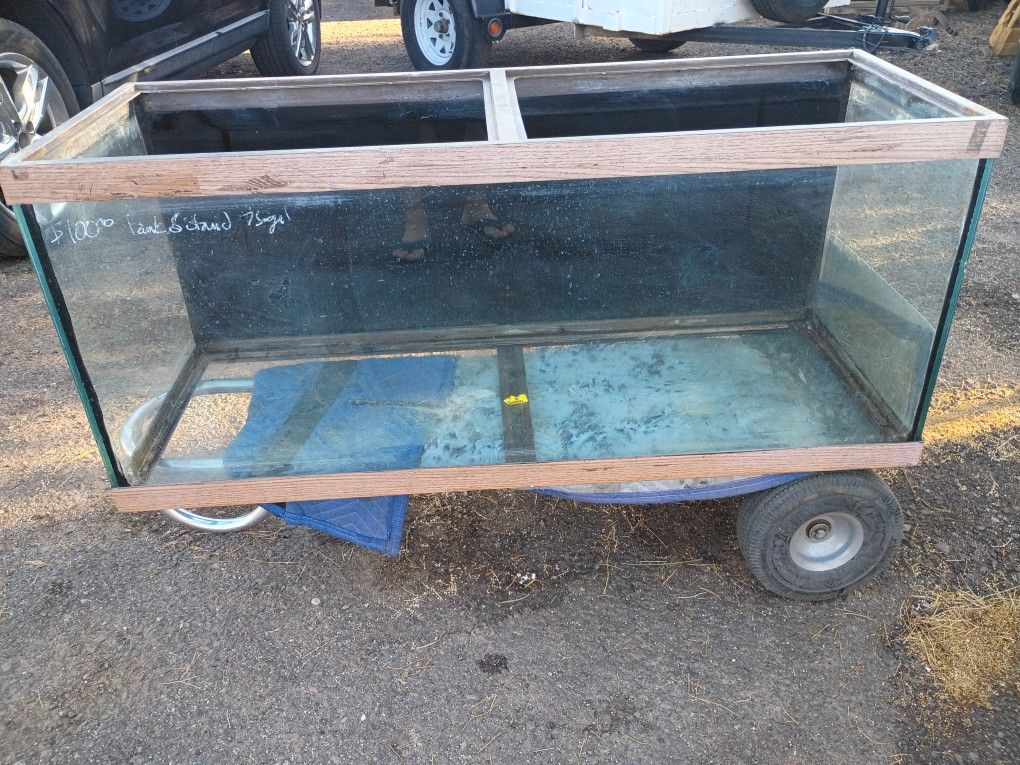 Fish Tank