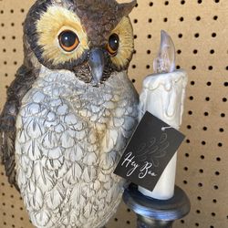 Battery Operated Decor New