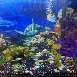 Fish Tank 