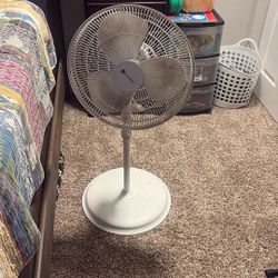 Fan