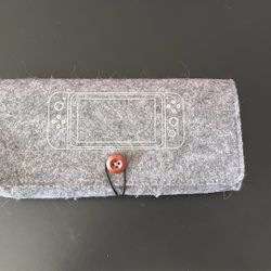 Nintendo Switch Orange case