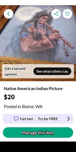 Native American Picture