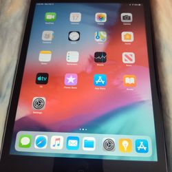 Apple iPad Mini
