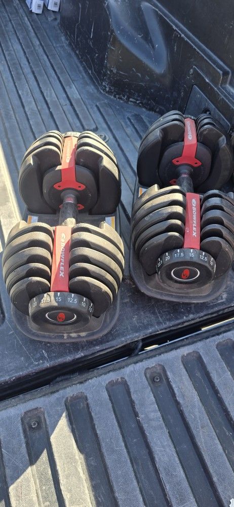 Bowflex Adjustable Dumbells, Gym Equipment, Weights