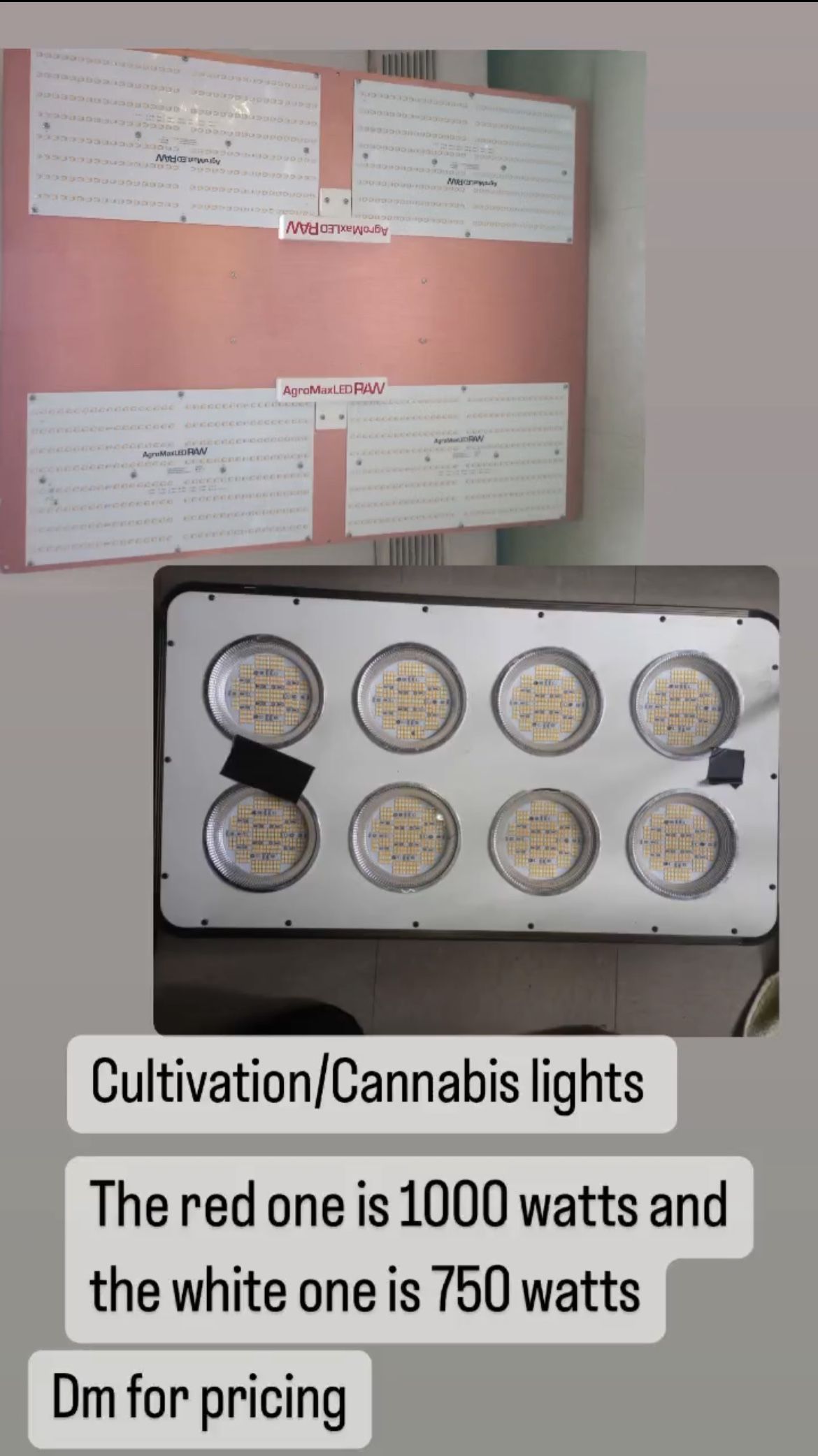 Cultivating /Cannabis Lights