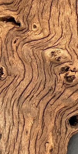 Aquarium / Terrarium Mopani Wood Decor