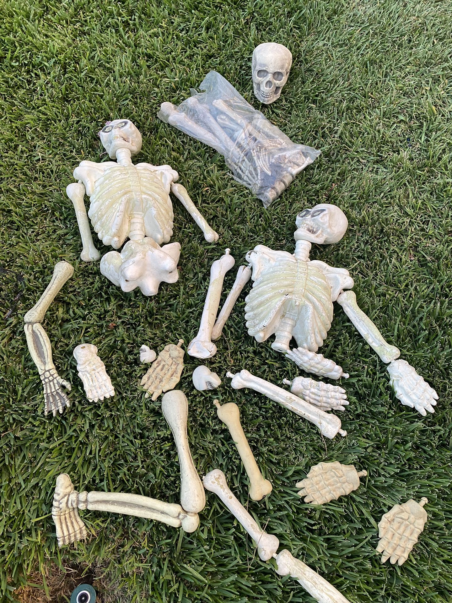 Old Skeleton Bones Halloween Decoration