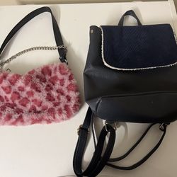 2 Bags Each 4$ Both 6$ In Excellent Condition