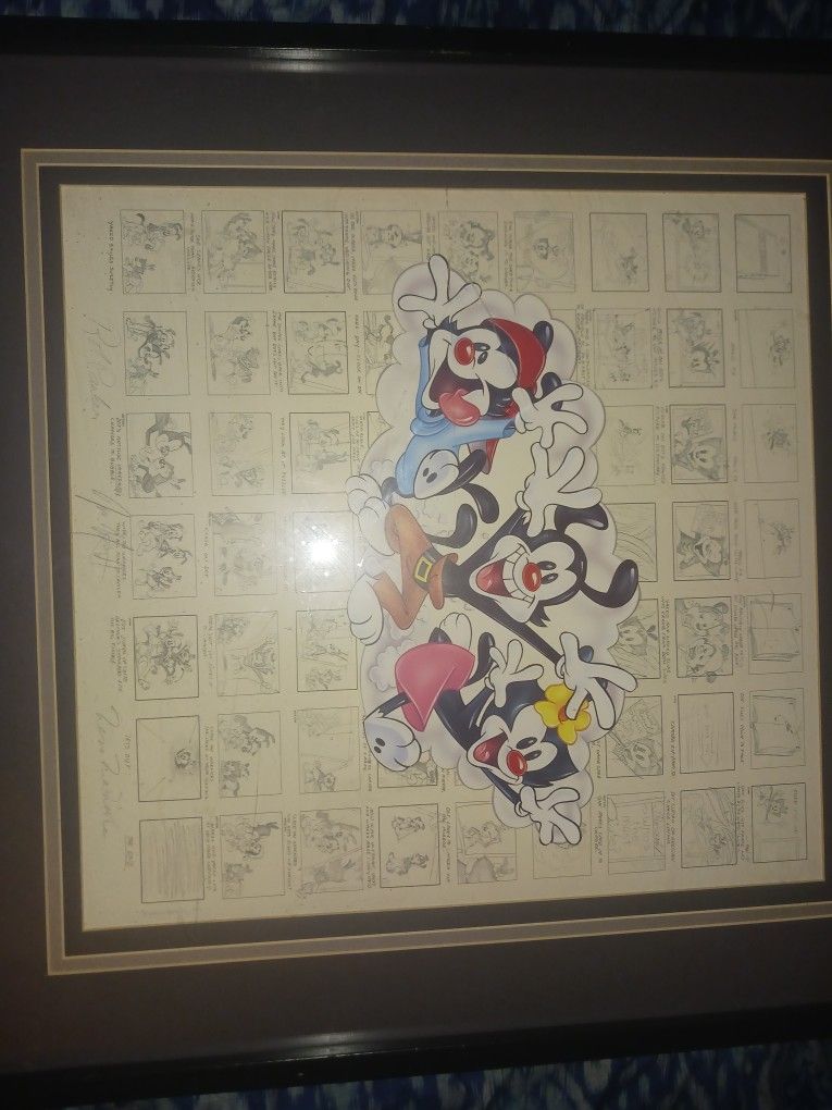 Animaniacs Storyboard
