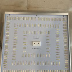 Led Grow Light Next Light 150h