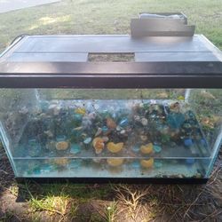 FISH TANK  REPTILE 🦎 TANK 1O GALLON W LED HOOD & FILTER & DECO ROCK!only $60!  Betta Hurry 😜😄
