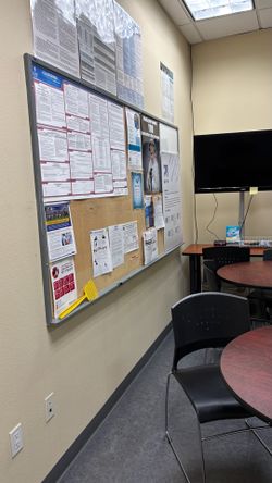Large Corkboard