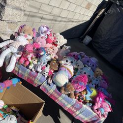 Take it no questions ask! Just today