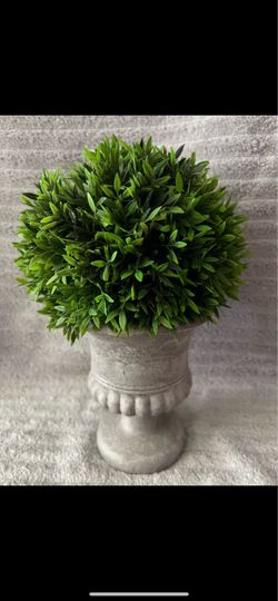 Artificial Plant