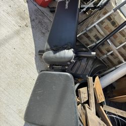 Weight Lifting Padded Bench