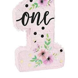 First Birthday Piñata Party Decorations 