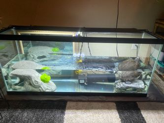 Turtle tank full setup