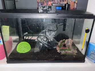 10gal fish tank