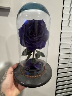 Rose Decoration 