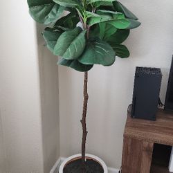 Faux Fig Tree