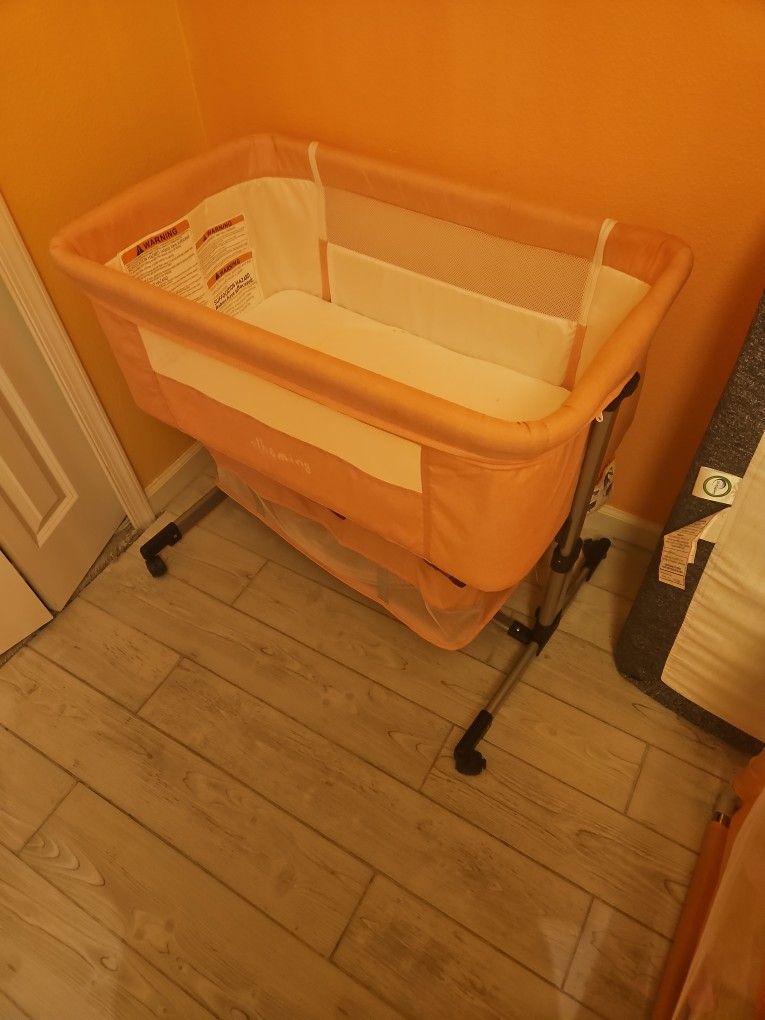 Pink Baby Girl Moises 