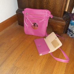 Brand New Purse And Wristlet Wallet Set