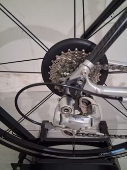Specialized