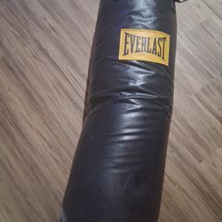Everlast Punching Bag