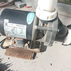 Jacuzzi Pump